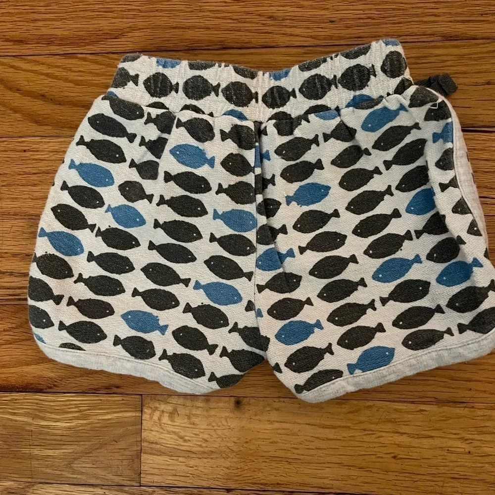 Stem | shorts and short sleeve shirt | baby boy 6mo